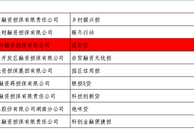 財(cái)科擔(dān)保“信補(bǔ)貸”產(chǎn)品獲2022年湖南省融資創(chuàng)新考評(píng)獎(jiǎng)勵(lì)