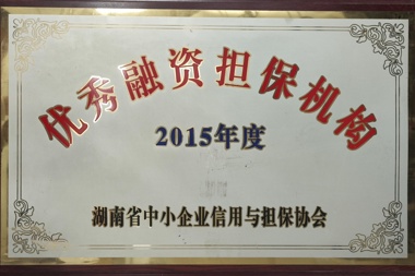 2015年度優(yōu)秀融資擔(dān)保機(jī)構(gòu)