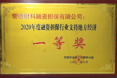 2020年度融資擔(dān)保行業(yè)支持地方經(jīng)濟(jì)一等獎—常德財科融資擔(dān)保有限公司