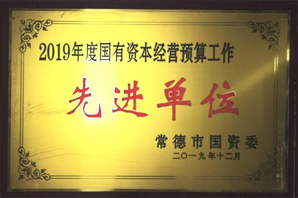 2019年度國有資本經(jīng)營預(yù)算工作先進單位