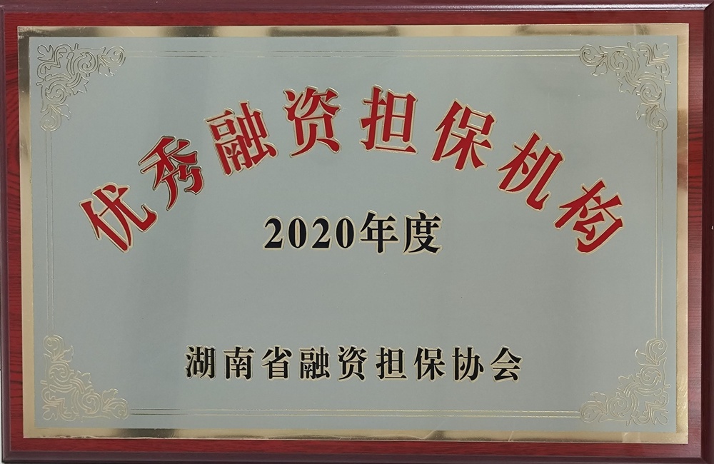 2020年度優(yōu)秀融資擔保機構