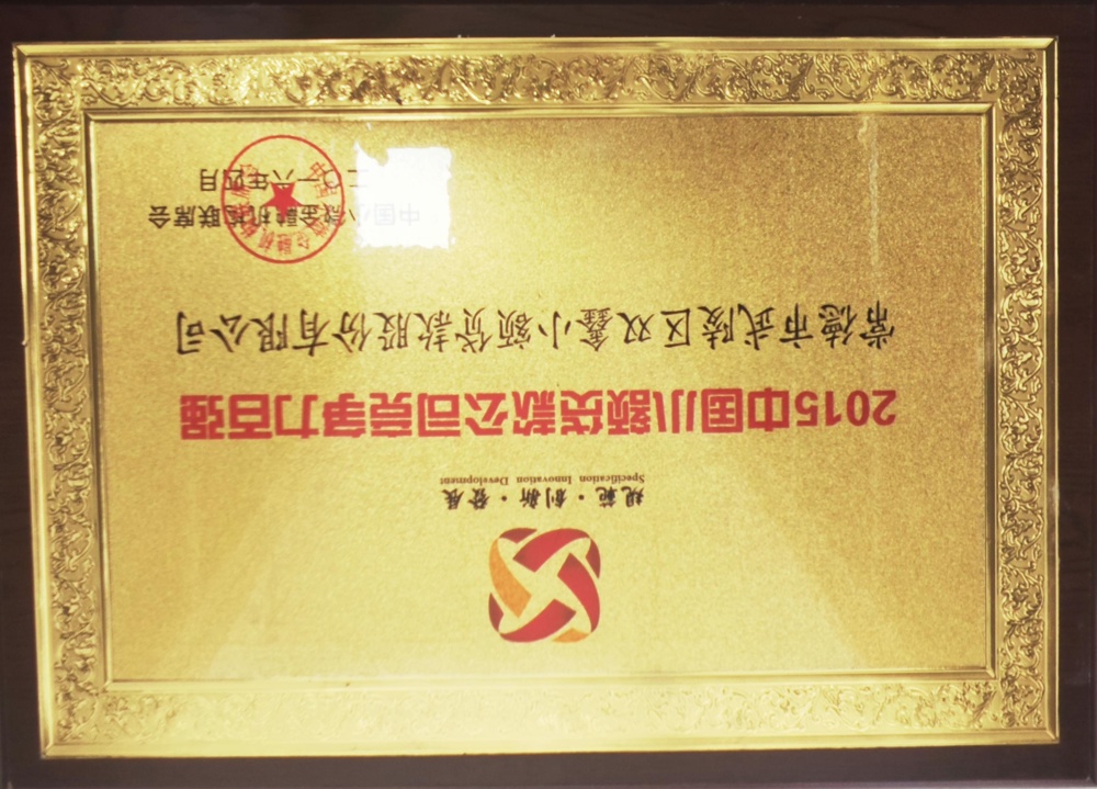 2015中國小額貸款公司競爭力百強(qiáng)